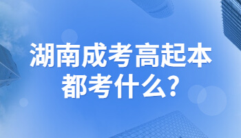 湖南成考高起本都考什么?