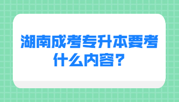 湖南成考專升本