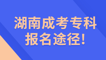 湖南成考專科報名