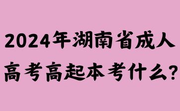 2024年湖南省成人高考高起本考什么?